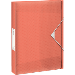 Esselte Colour'Ice Box File PP