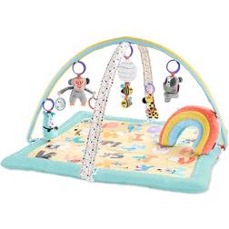 Skip Hop ABC & Me Baby Gym