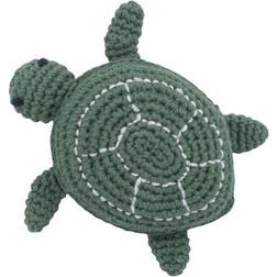 Sebra Triton the Turtle
