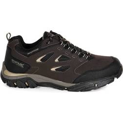 Regatta Botas de trekking Holocombe Iep Low RMF572 Marrón