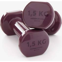 Nyamba Halters voor fitness 2 x 1.5 kg bordeaux