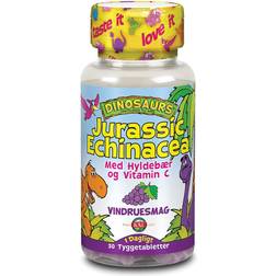 Kal DinoSaurs Jurrasic Echinacea 30 stk