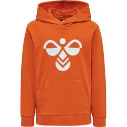 Hummel Cuatro Hoodie - Koi (204743-3042)