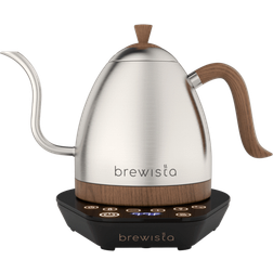 Brewista Artisan Silver