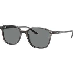 Ray-Ban Leonard RB2193 1314B1