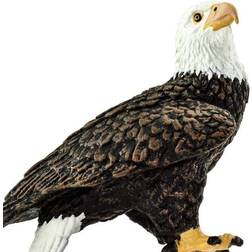 Safari Bald Eagle