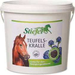 Stiefel Teufels Kralle 1kg