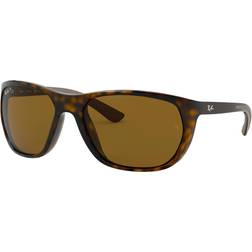 Ray-Ban Polarized RB4307 710/83