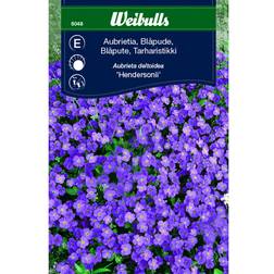 Weibulls Aubrietia Blomsterfrø