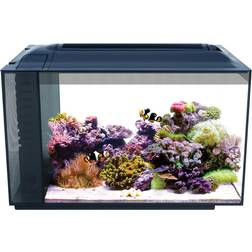 Fluval Evo Aquarium