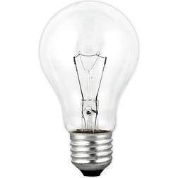 Normal Incandescent Lamps 75W E27