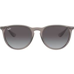 Ray-Ban Erika Color Mix RB4171 65138G