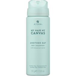 Alterna My Hair My Canvas Another Day Dry Shampoo 57g