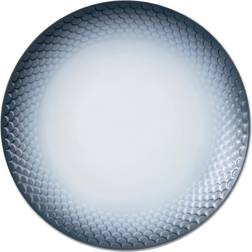 Royal Copenhagen HAV Assiett 17cm