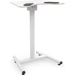 SALTBSCHL Skrivbord 60x75cm