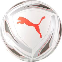 Puma Icon