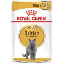 Royal Canin British Shorthair