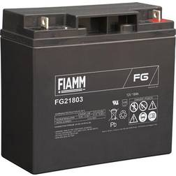 FG21803
