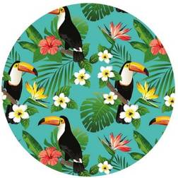 Koala Babycare Toucan Coaster 4pcs