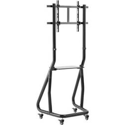 NewStar Neomounts NS-M3600 80 kg Floor Stand