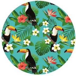 Koala Babycare Toucan Drip-Proof Droppkork 4st