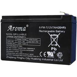 Nordic Play Elbil Extrabatteri 12 V