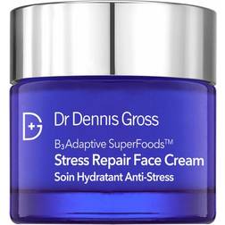 Dr Dennis Gross B3 Adaptive SuperFoods Stress Repair Face Cream 2fl oz