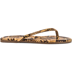 Tkees Studio Exotic - Coco Snake