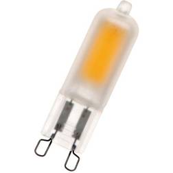 Bailey 4.8cm LED Lamps 2W G9