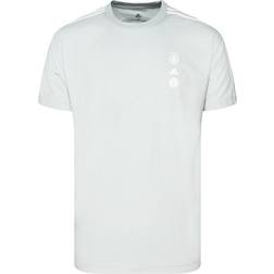 Adidas T-Shirt DFB SSP Gris