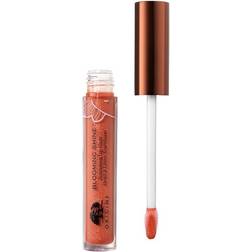 Origins Blooming Shine Nourishing Lip Glaze #03 Honey Bloom