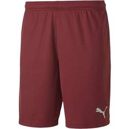 Puma teamGOAL 23 Knit Shorts Men - Cordovan