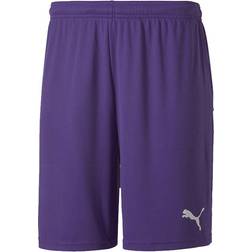 Puma teamGOAL 23 Knit Shorts Men - Prism Violet