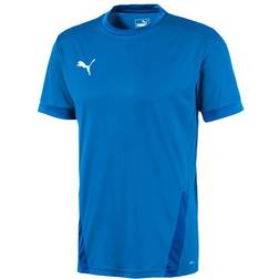 Puma teamGOAL 23 Jersey Men - Electric Blue/Team Power Blue