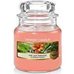 Yankee Candle The Last Paradise Small Duftkerzen 104g