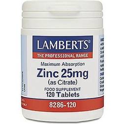 Lamberts Zinc 25mg