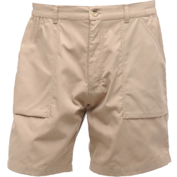 Regatta Action Shorts - Lichen