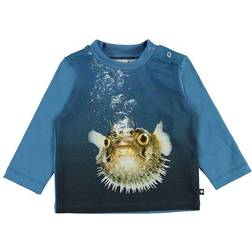 Molo Enovan - Pufferfish (3W21A409 -7514)