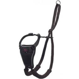 The Company of Animals Halti No Pull Dog Harness M