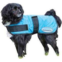 Weatherbeeta Therapy-Tec Dog Cooling Coat