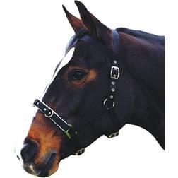 Kincade Unisex Nylon Padded Lunge Cavesson