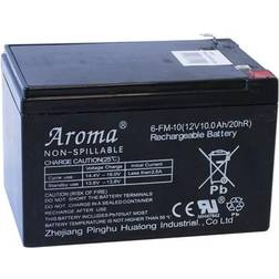 NSH Nordic Battery 12V10AH for Electric Car