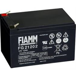 FG21202 Compatible