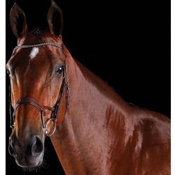 Collegiate Bridles & Nosebands