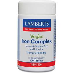 Lamberts Vegan Iron Complex 120 Stk.