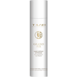 T-LAB Professional Grand Fix Hair Spray Strong 300ml