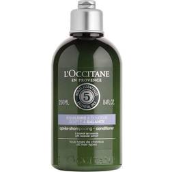 L'Occitane Aromachologie Gentle & Balance Conditioner 250ml