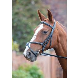 Shires Avignon Grackle Bridle