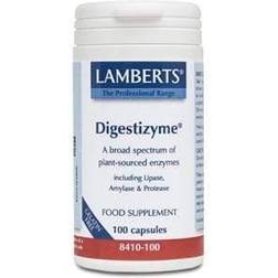 Lamberts Digestizyme 100 Stk.