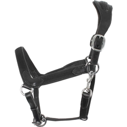 Collegiate Comfitec Leather Headcollar